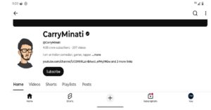 carryminati subscriber 